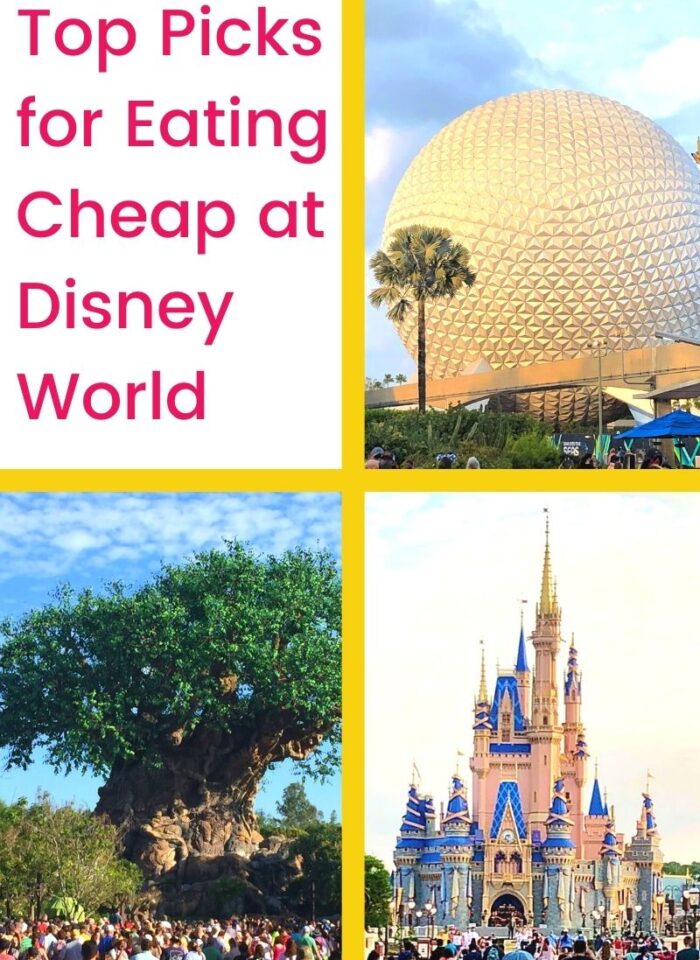 Top Picks for Eating Cheap at Disney World 2021
