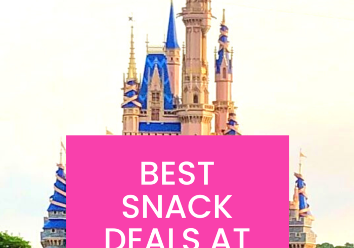 Best Snack Deals at Magic Kingdom